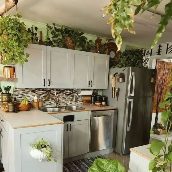 Kitchen Decor with Plants kitchen decor with plants