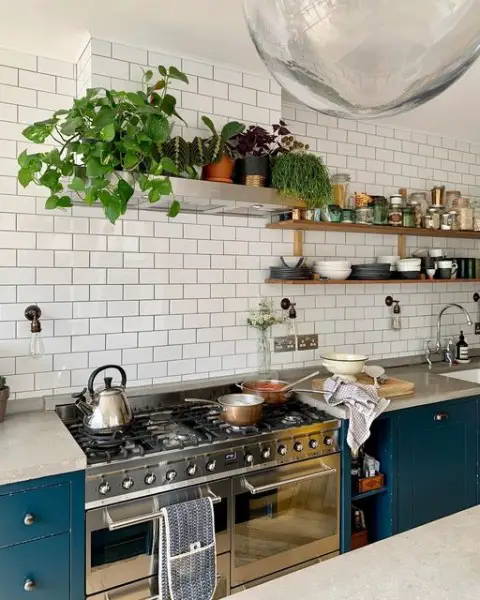 Pasta Maker kitchen decor with plants