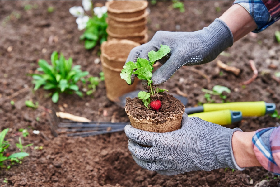 gardening tools