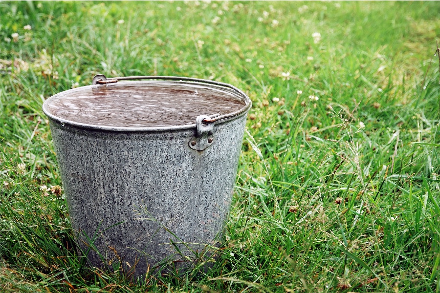 standing water lawn