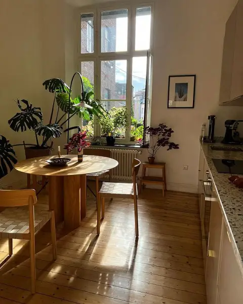 Cozy Yet Elegant Kitchen Table Design For Urban Jungle Home ivy decor