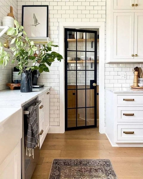 Sleek And Modern Glass Pantry Door In A Farmhouse-Inspired White Kitchen kitchen door