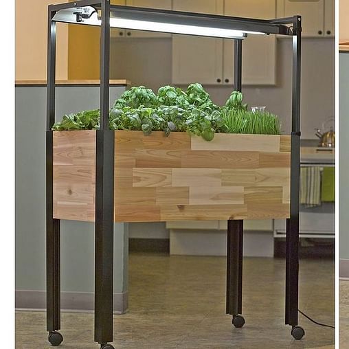 Lively And Organic: A Charming Indoor Kitchen Garden kitchen garden
