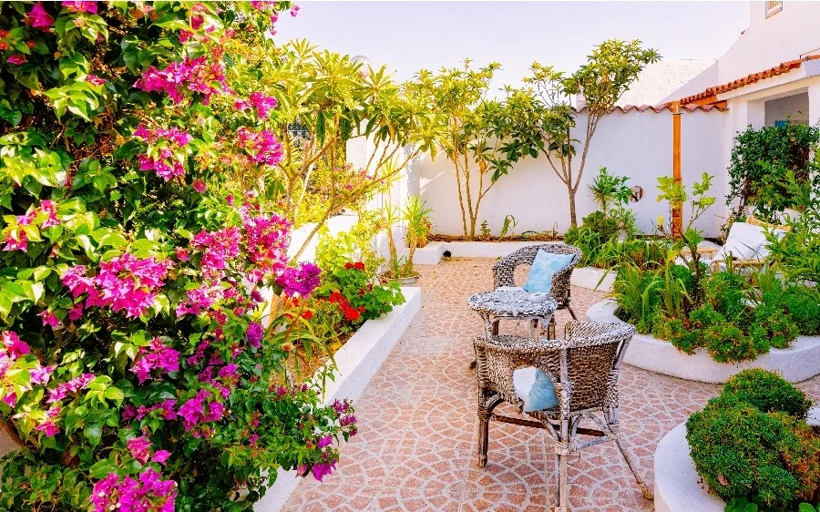 mediterranean backyard garden