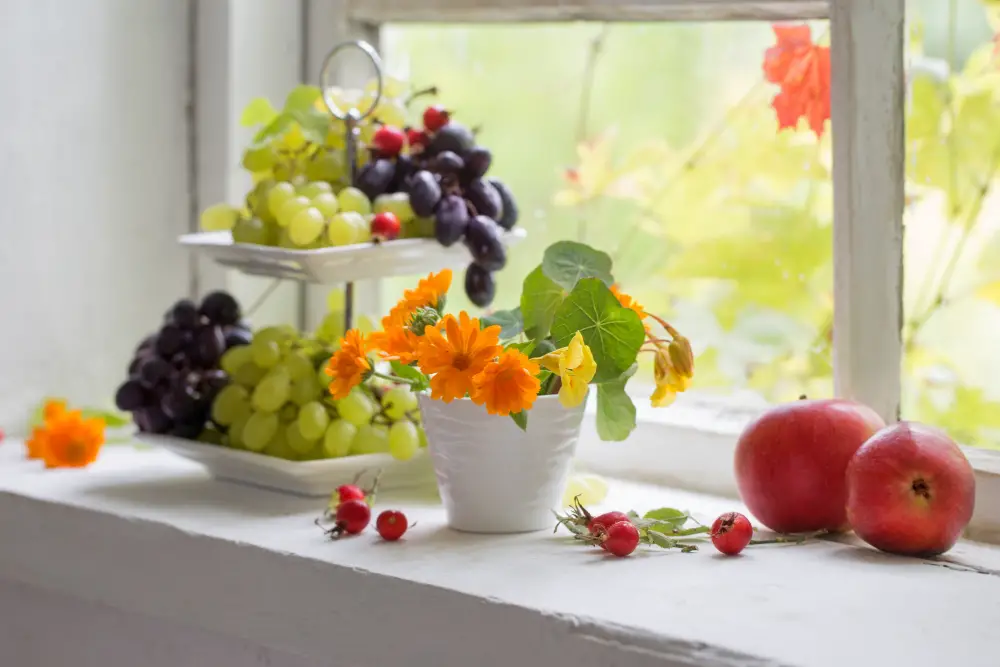 Kitchen Window Fruit Bowl Holder