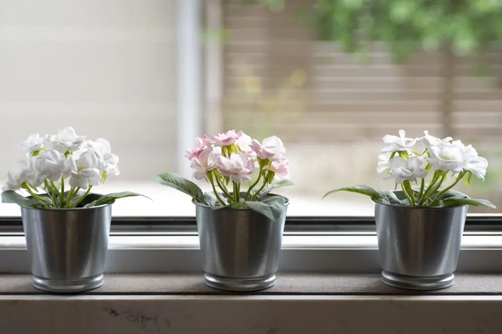 Kitchen Window sill with potted flowers