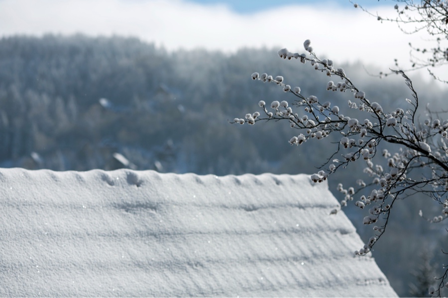 roof under snow