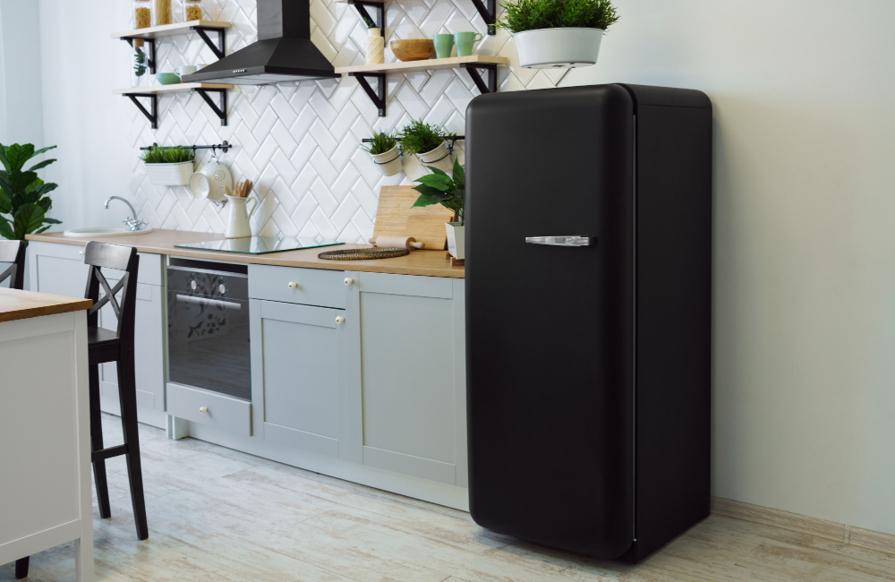 stand alone refrigerator