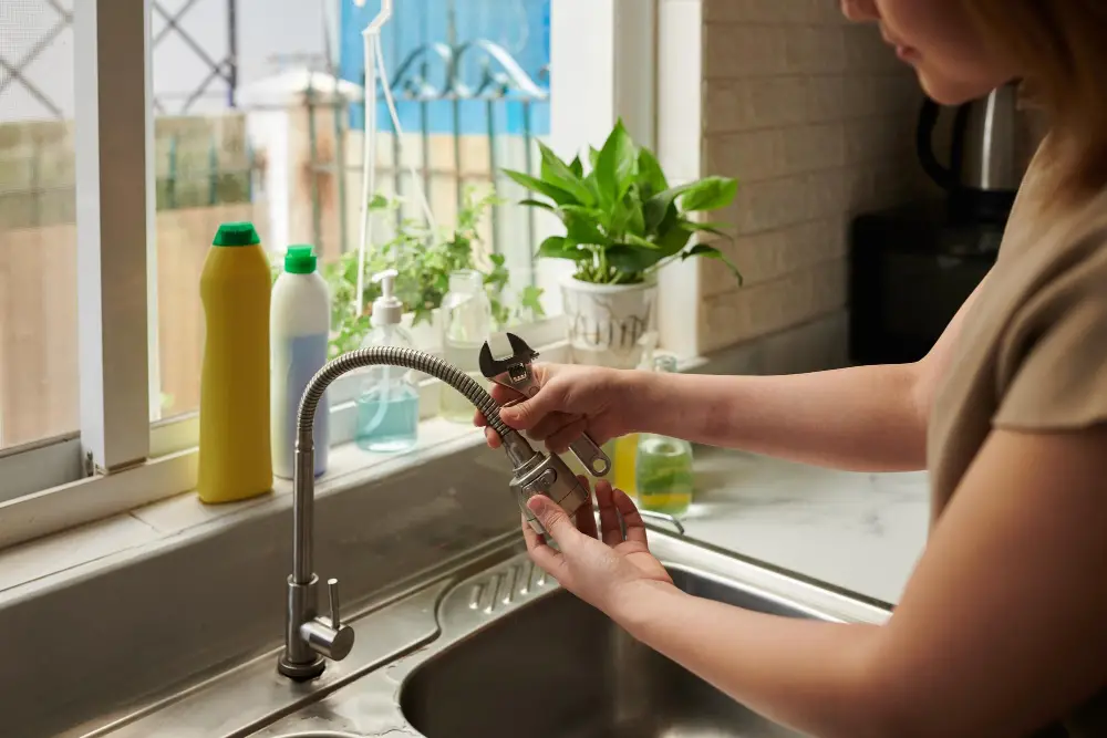kitchen faucet maintenance