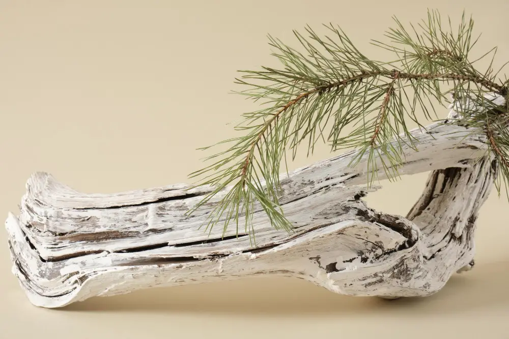 Painted Driftwood