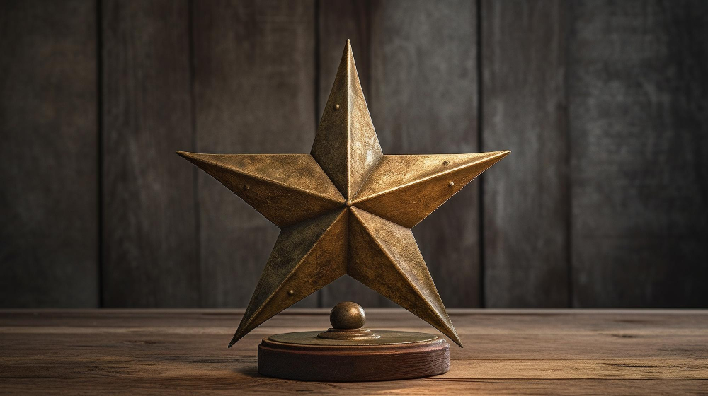 Rustic Barn Star