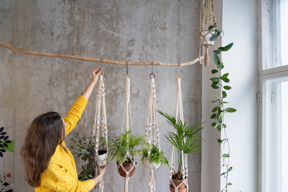 kitchen Macrame Plant Hangers