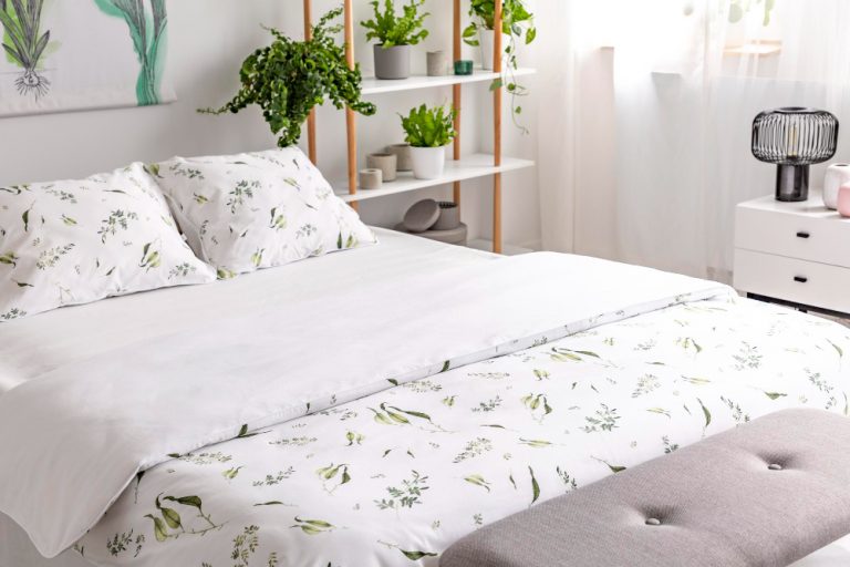 5 Reasons to Opt for Organic Cotton Sheets