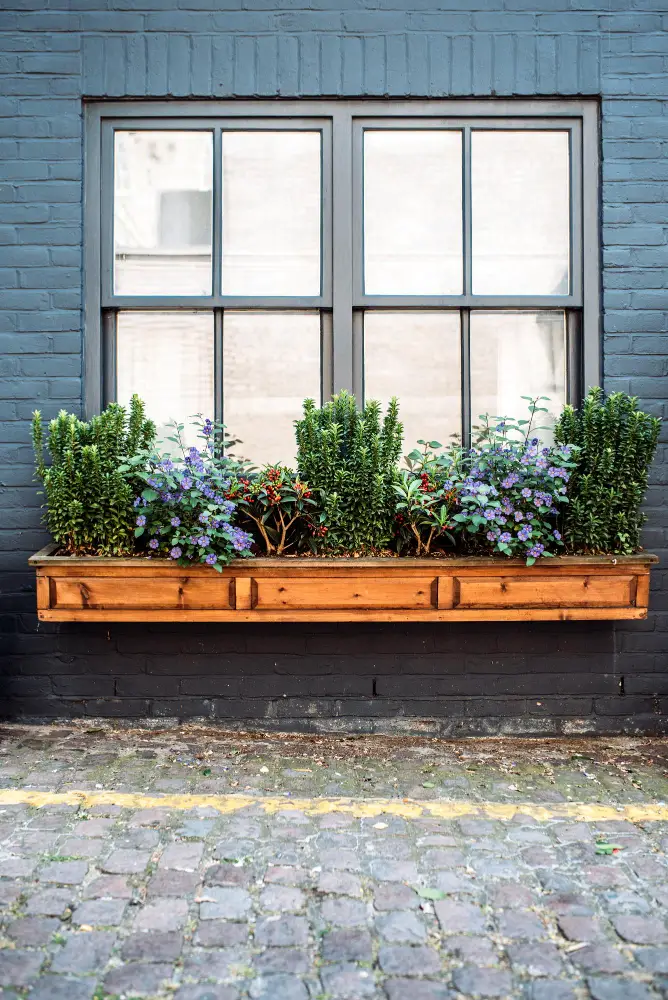 Install Window Boxes or Planters for a Vibrant Splash of Life