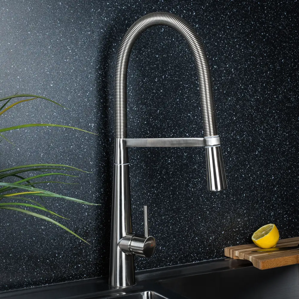 Built-In Features Pre-rinse Kitchen Sink Faucet
