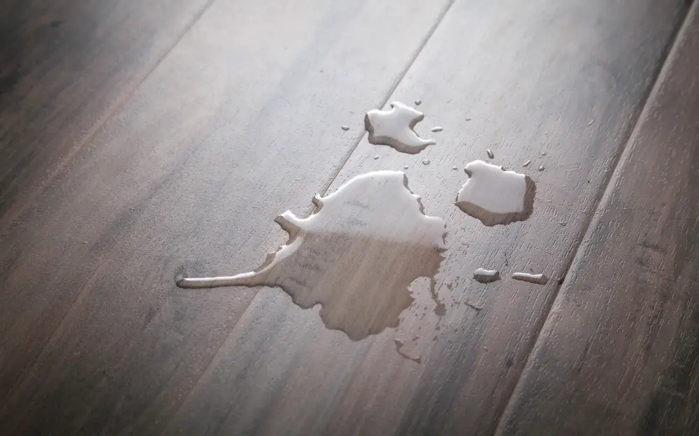 Impact of Water Damage On Hardwood Floors Under Cabinets