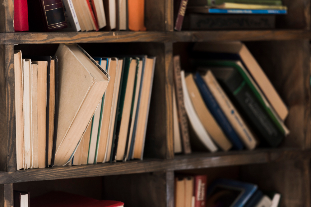 Kitchen Cabinet As Bookshelves