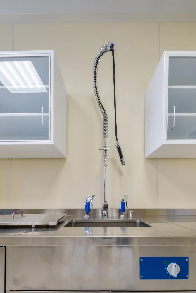 Pre Rinse Wal Mounted Faucets