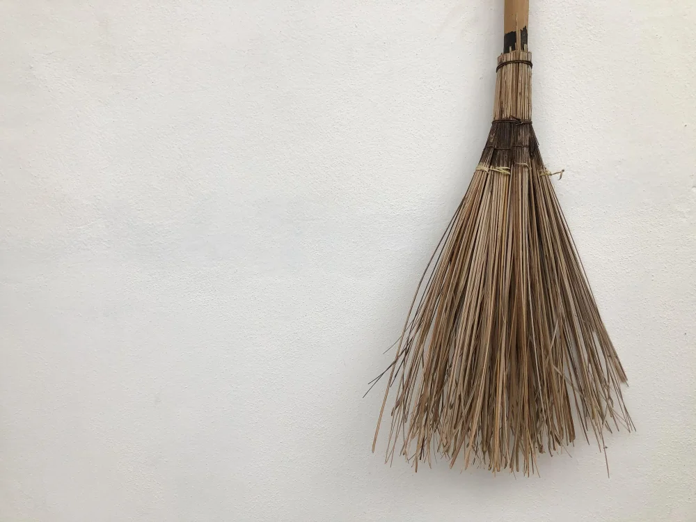 Witch Broom Twigs