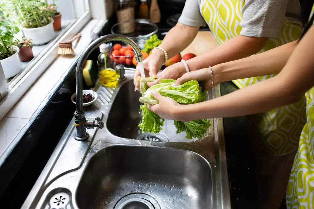 Benefits of a Double Kitchen Sink Steel Washing Food