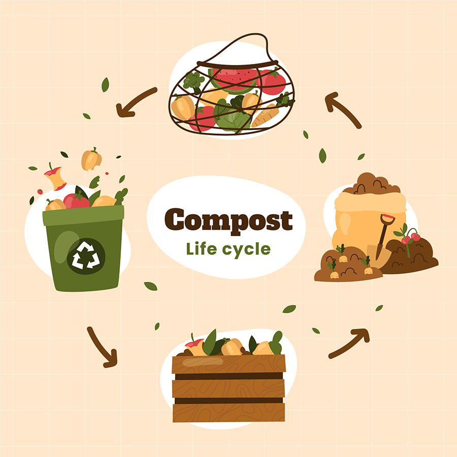 Compostable Life Cycle