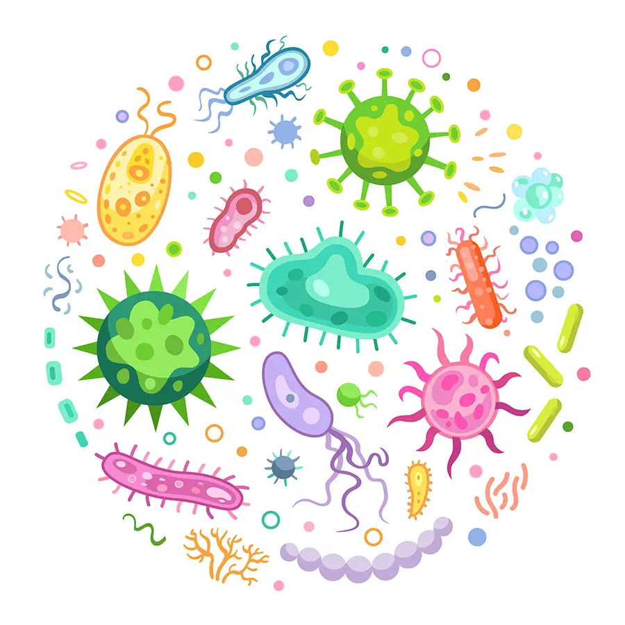 Dangers Of A Dirty Restaurant Floor - Bacterias