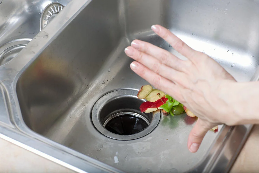 Garbage Disposal Care Kitchen Sink