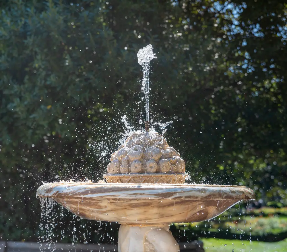 Install a Water Fountain or Bird Bath for a Peaceful Ambiance