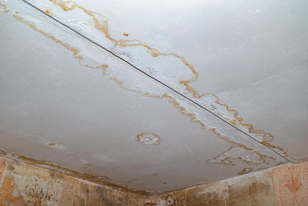 Mold and Mildew Growth