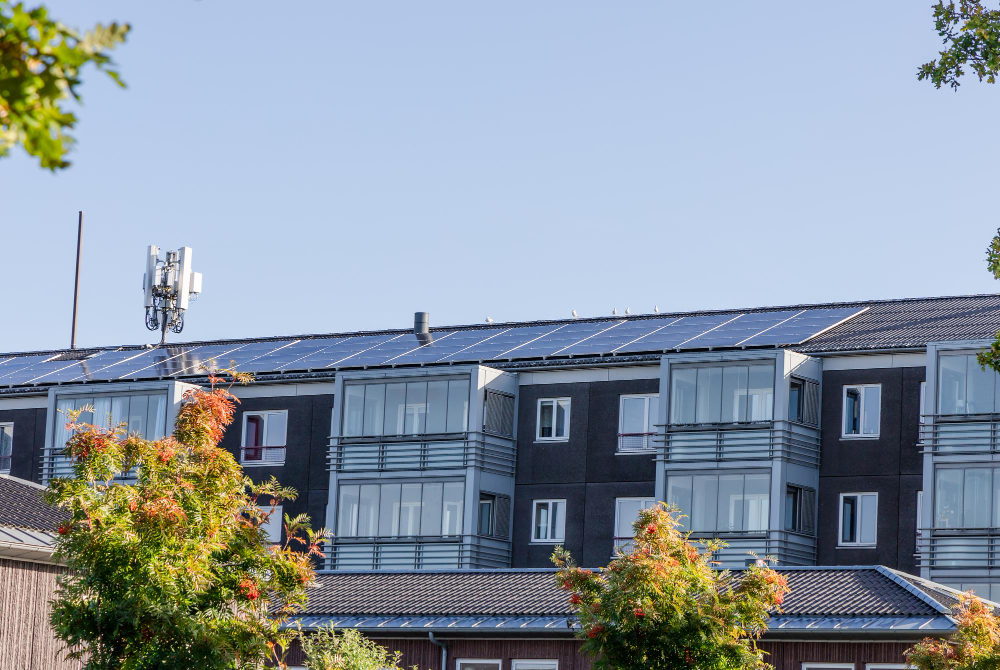 Selecting the Right Solar Panel System for Your Home or Business