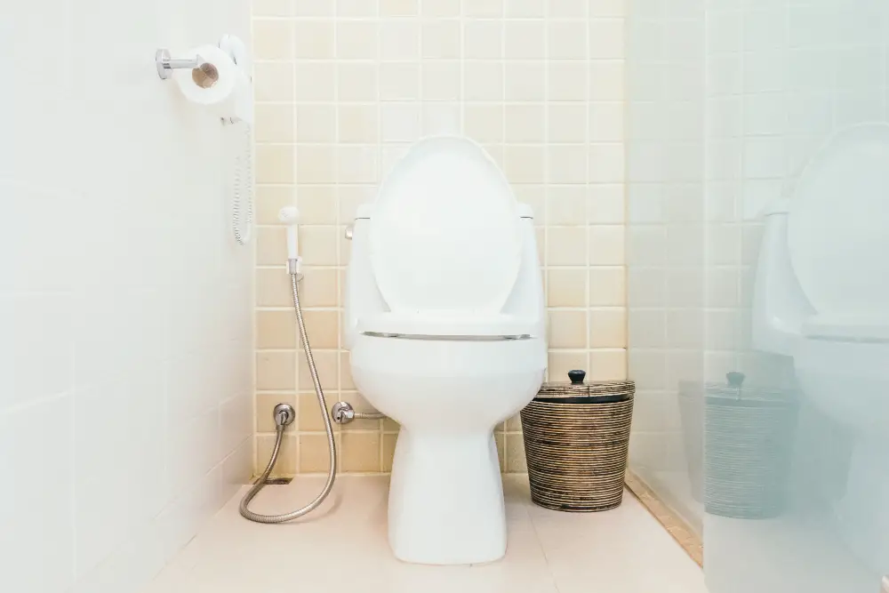 The Trusty Toilet: Common Hiccups