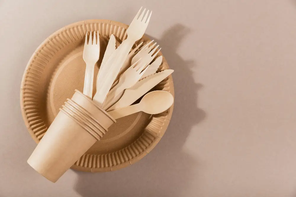 disposable plates and utensils eco friendly