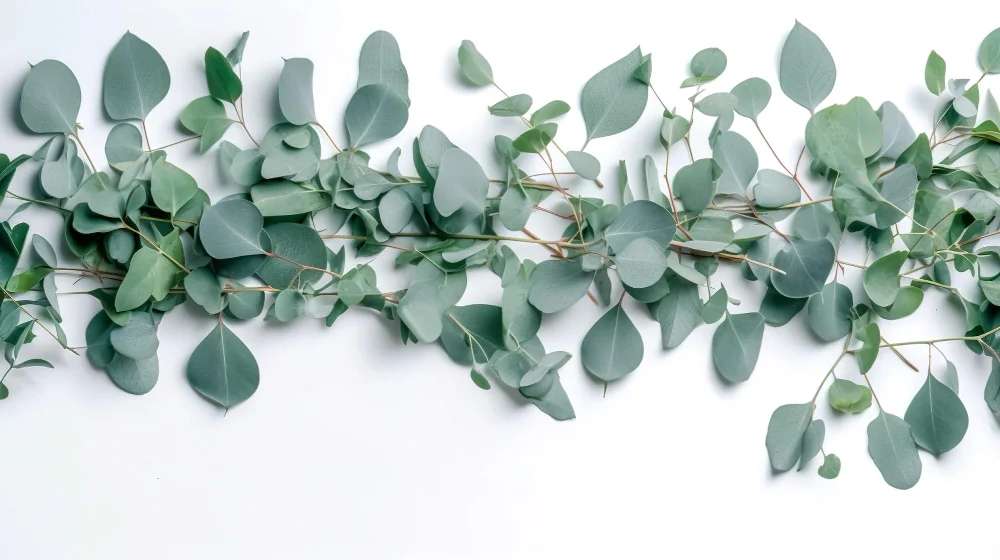 eucalyptus leaves garland kitchen cabinet holiday