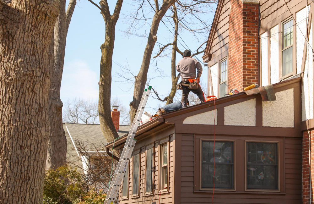 Professional Roof Inspection