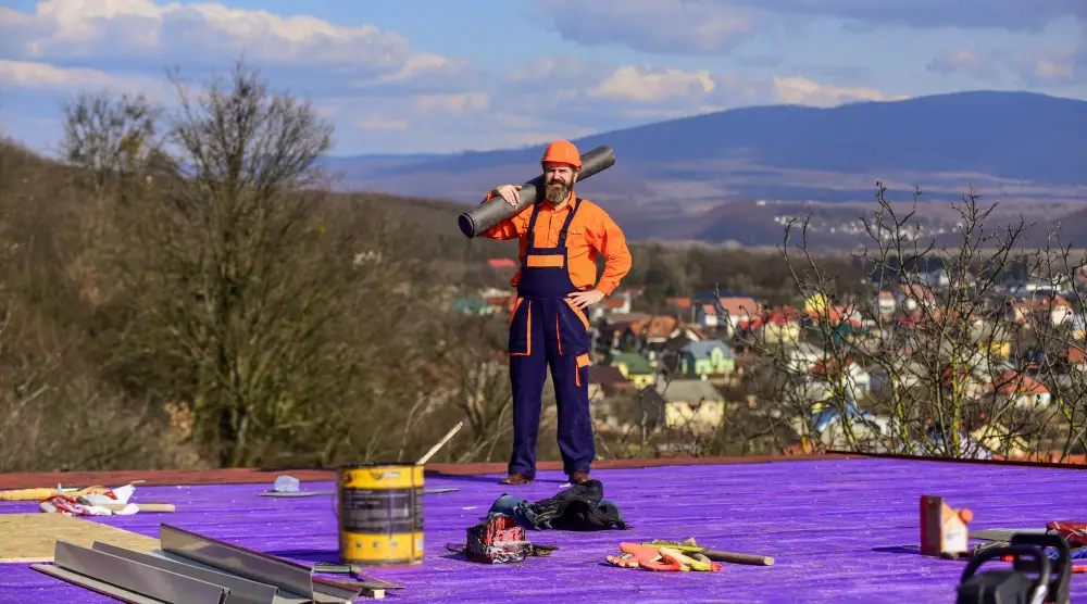 Reasons to Hire a Professional Roofer