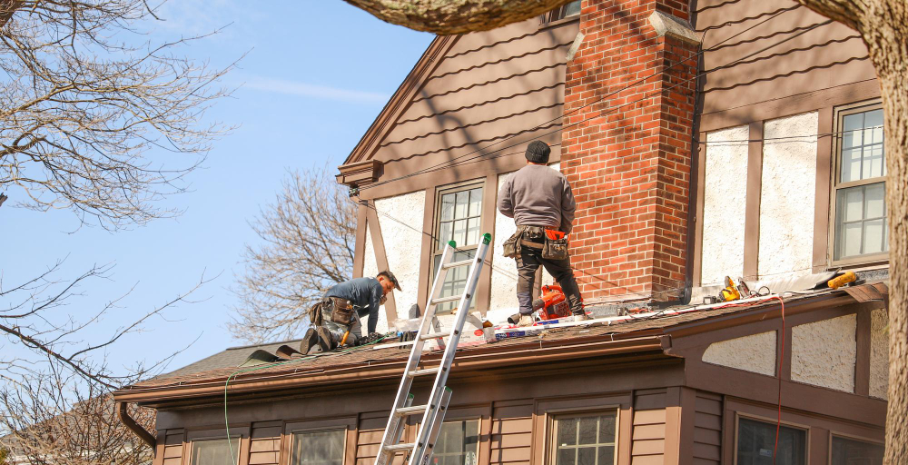 Trim Overhanging Trees