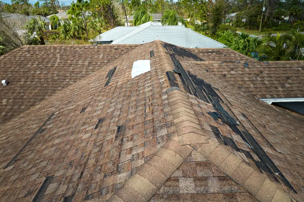 Understand the Signs of Roof Damage and Common Causes of Delayed Repairs