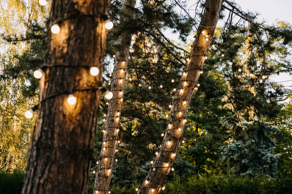 Use String Lights to Drape over Trees and Bushes