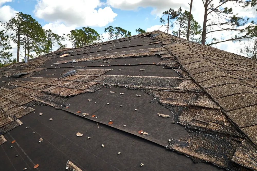 Check Your Roof for Wear and Tear Annually