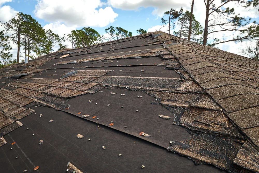 Check Your Roof for Wear and Tear Annually