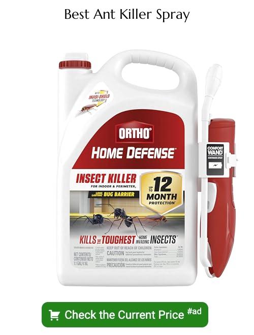 ant killer spray