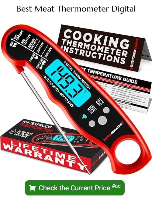 meat thermometer digital